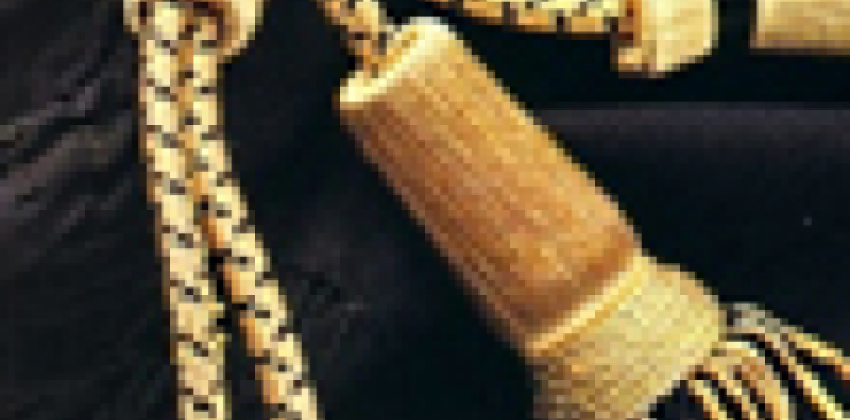 Avvocati: senza posta certificata iniziano le sanzioni